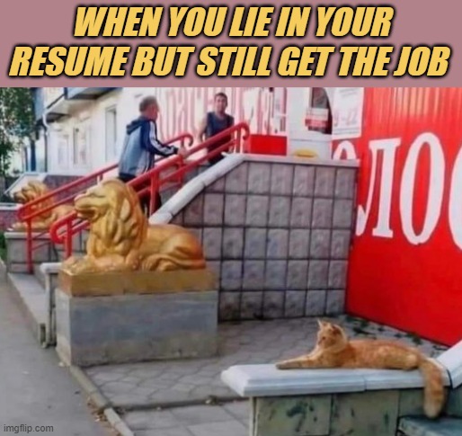 meme when you lie in your resume but still get the job 