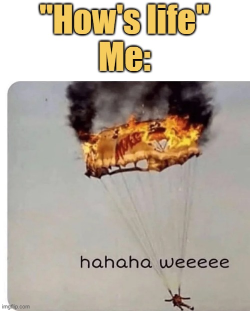 Weeeeeee