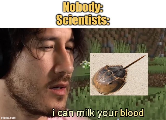 meme I can milk you