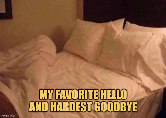 meme My favorite hello and hardest goodbye