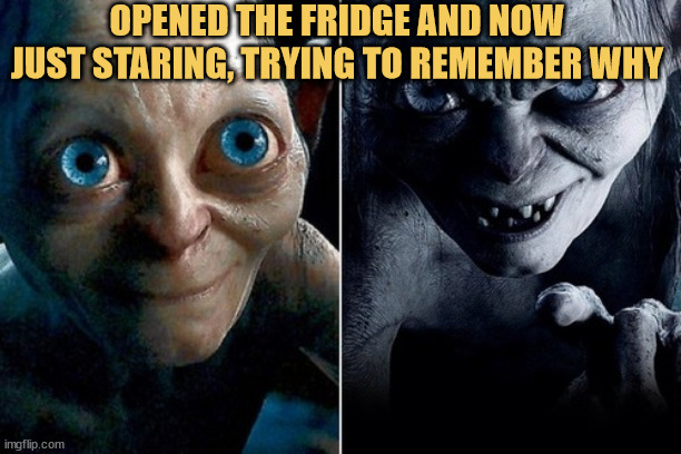 meme Opened fridge, forgot why
