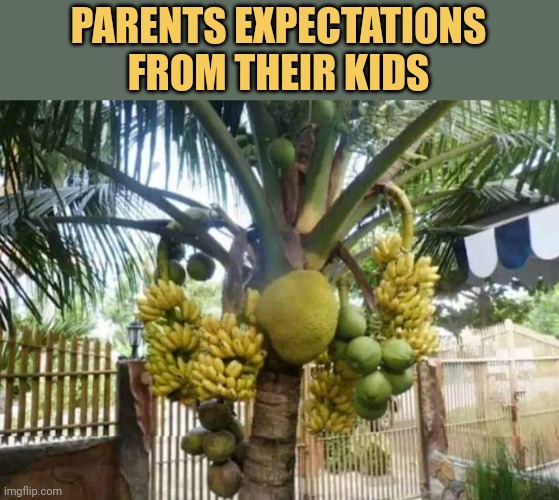 meme Parents expectations
from their kids