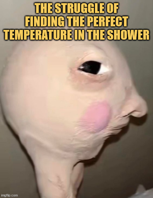 meme Finding the perfect shower temperature? Myth
