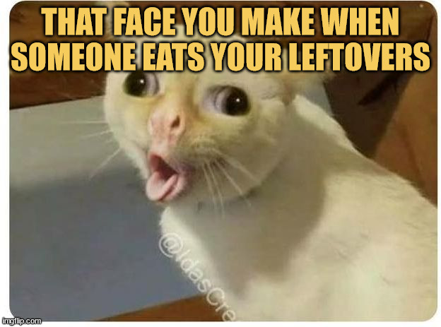 meme That face you make when someone eats your leftovers, and now they owe you a lifetime of debt