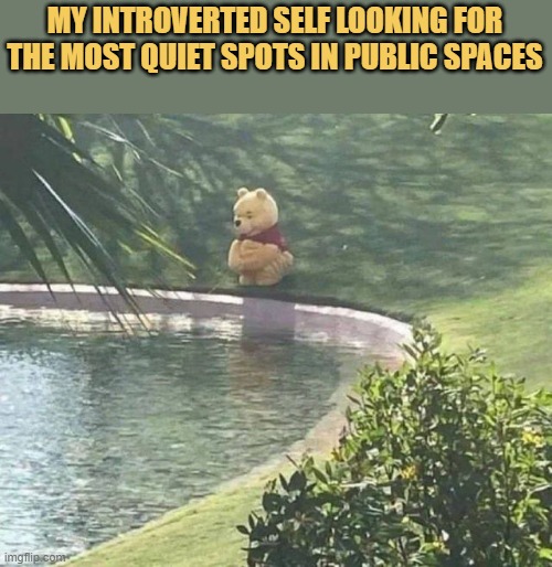 meme Introvert mode 