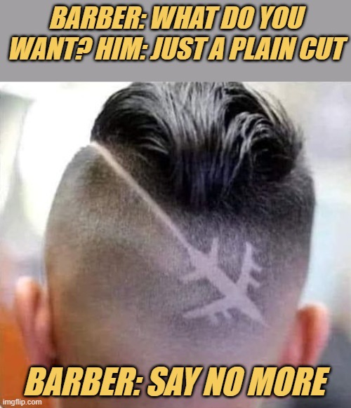 meme Plane cut 