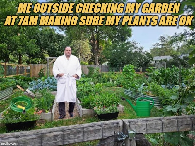 meme Me outside checking my garden at 7AM making sure my plants are ok