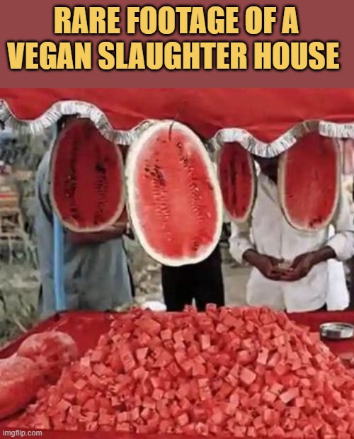 meme we have found a vegan slaughter house 