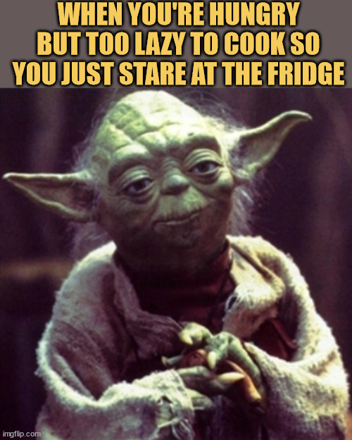 meme Staring at the fridge like it's a magic portal to food that doesn't exist :)