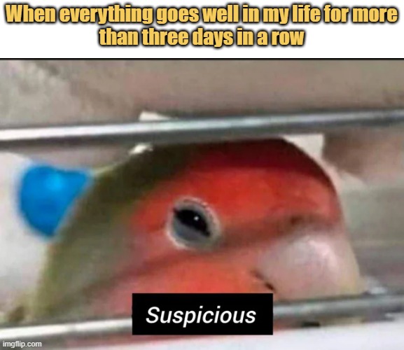 meme Suspicious...