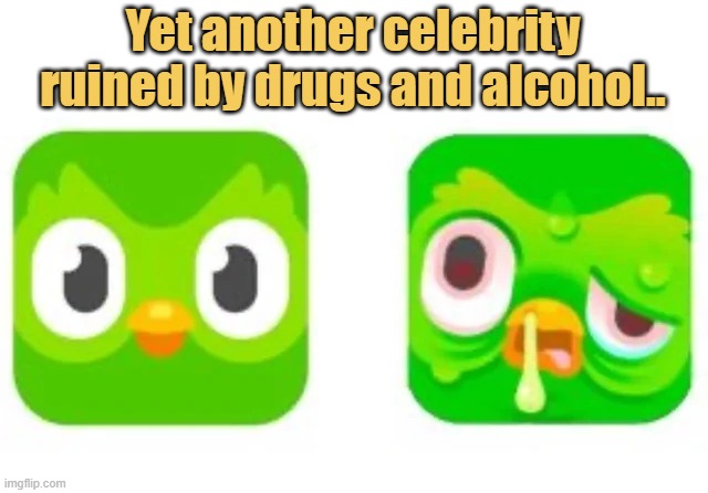 meme Yet another celebrity ruined by drugs and alcohol..