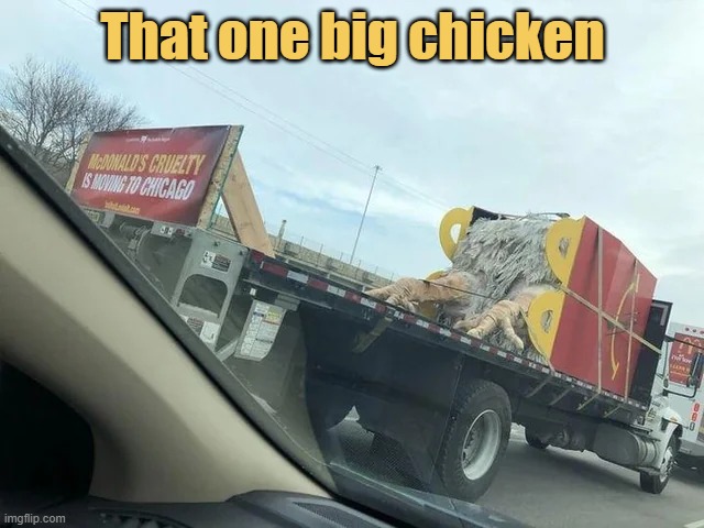 meme That one big chicken