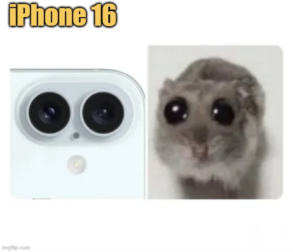 meme Spot the difference