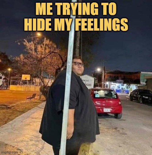 meme Cant hide my feelings because of extra fat