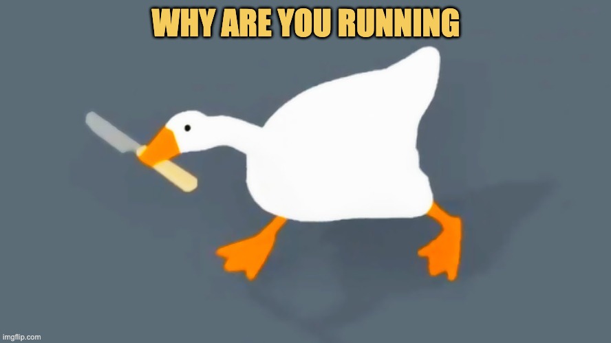 meme Why are you running?