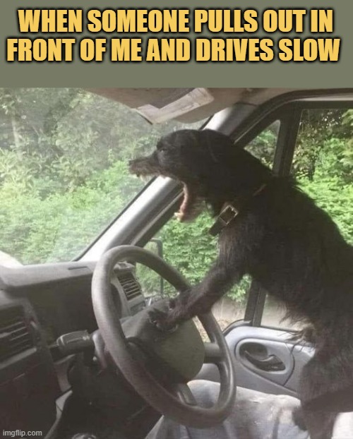 Why you driving slow 