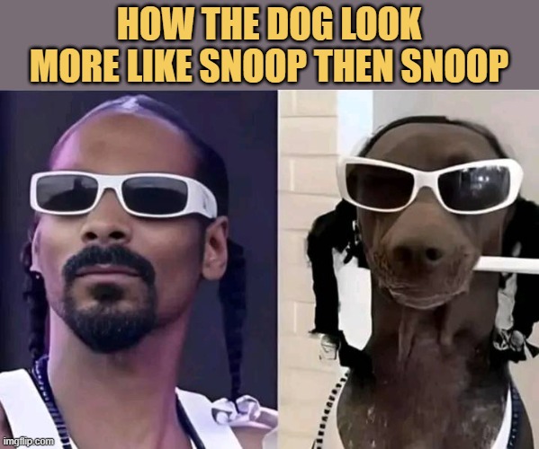 Real snoop dogg