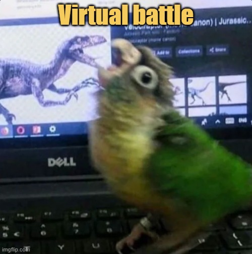 Virtual battle