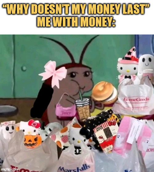 All the money goes in foods and shopping!