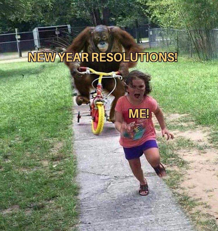 Try next year