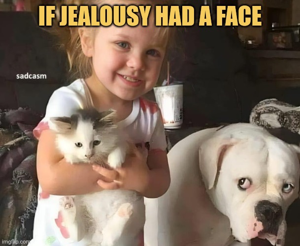 Jealously dog...