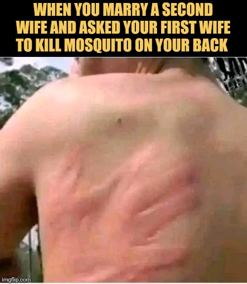 when you marry a second wife and asked your first wife to kill mosquito on your back 