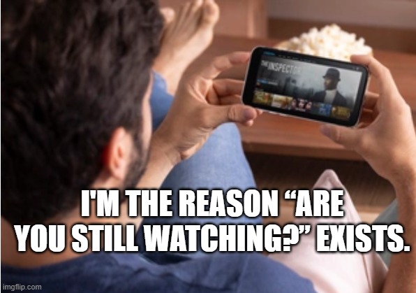 I'm the reason “Are you still watching?” exists.