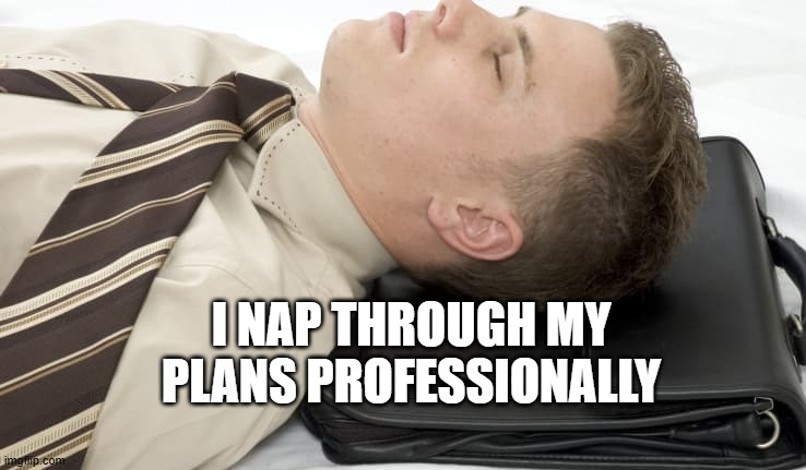 I nap through my plans professionally