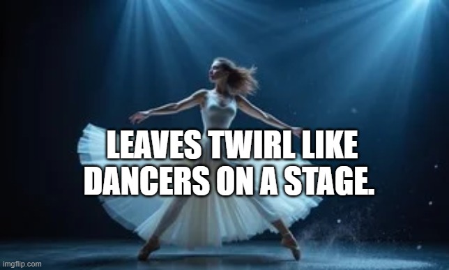 Leaves twirl like dancers on a stage.