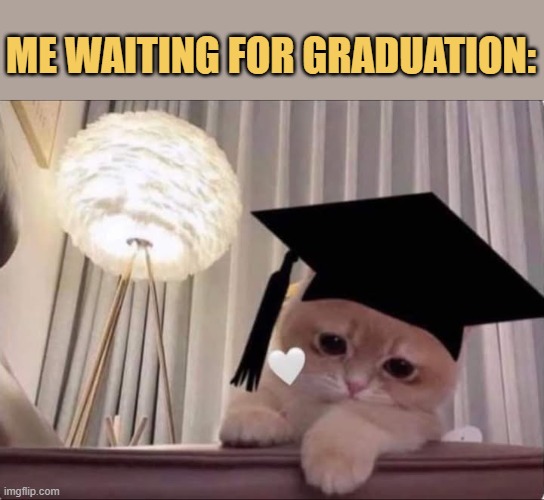 Why graduation why
