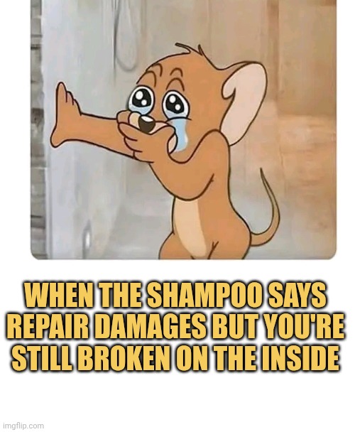 Im still broken inside what damages the shampoo repaire then