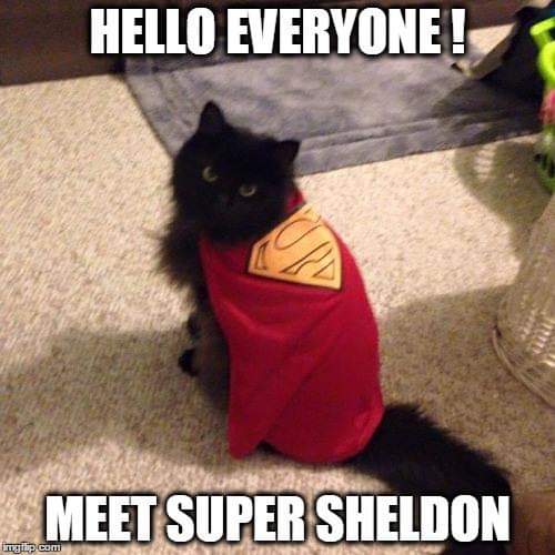 meme Super Sheldon to the rescue 💨💨