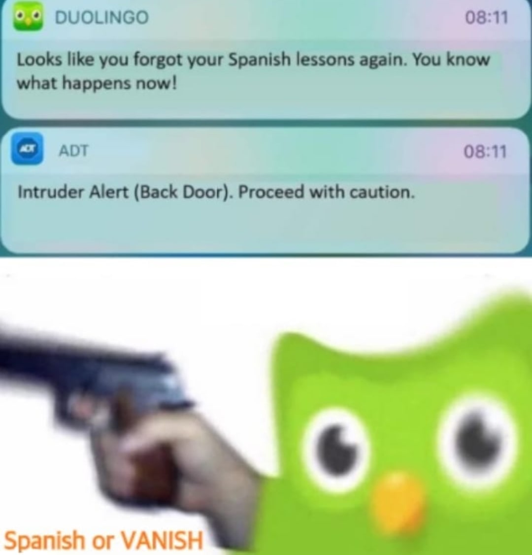 meme Duolingo be like...