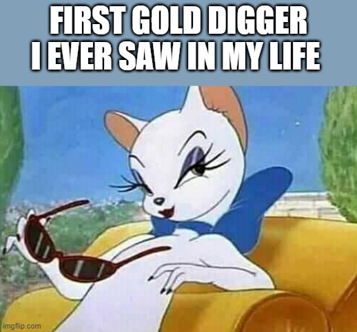 Gold digger meme - Imgflip