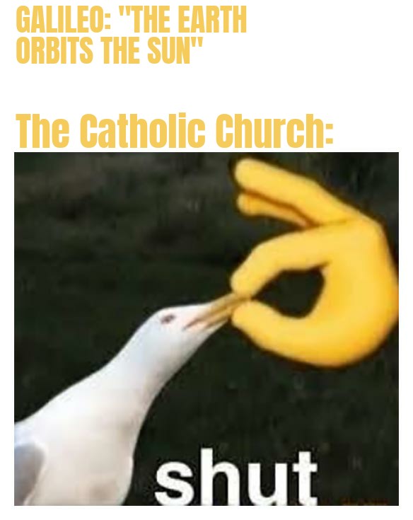 PicturePunches: Meme: Shut Seagull