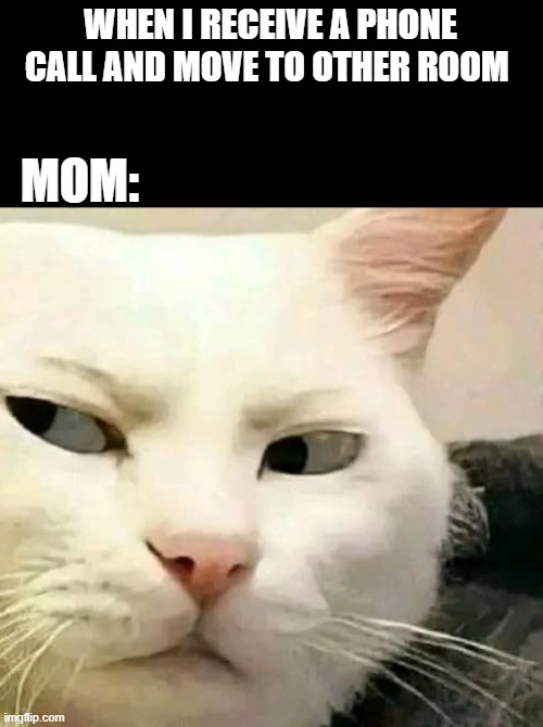 PicturePunches: Meme: Mom Finds Out