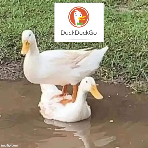 Picturepunches Meme The Duck Duck Go