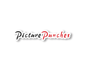 user: PicturePunches