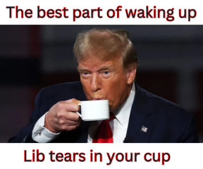 user: Best part of waking 