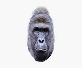 Harambi