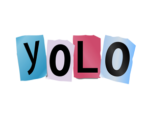 user: YOLO